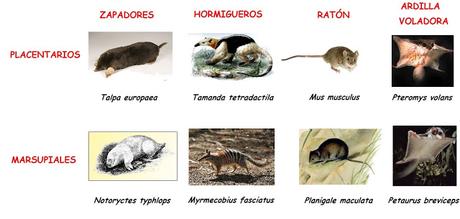 Estructura y dinámica de los ecosistemas