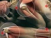 cuerpo grita... boca calla