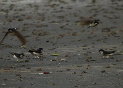 Empezando a construir