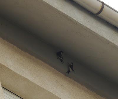 Empezando a construir