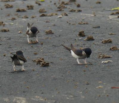 Empezando a construir