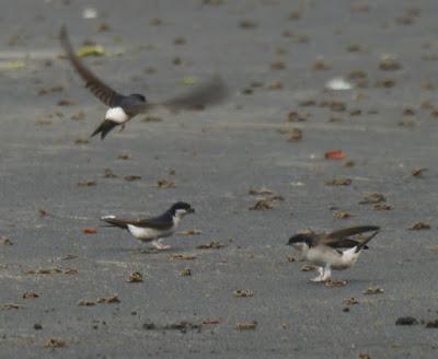 Empezando a construir