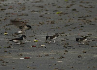 Empezando a construir