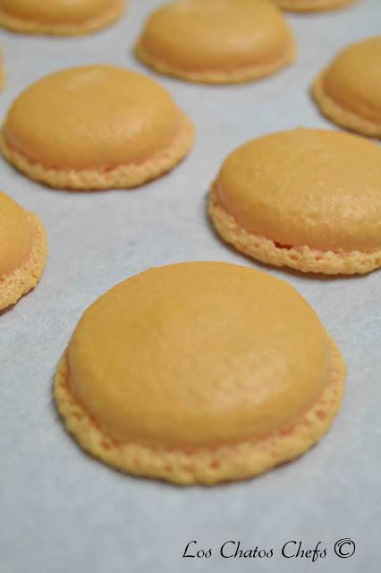 Taller de macarons al milímetro