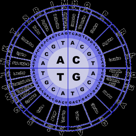 Las proteínas son moléculas de gran tamaño formadas por l...