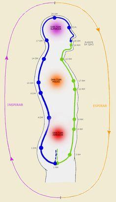 neuroreflejos dantians