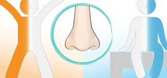 brac-basic resting activity cycle