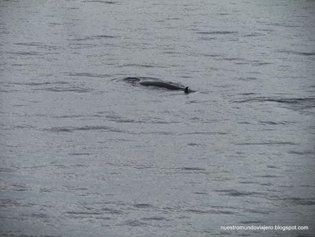 Lungaville; en la Isla Espiritu Santo, Vanuatu