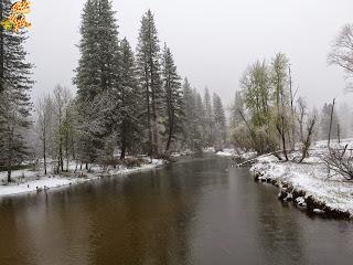 Un día en Yosemite