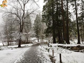 Un día en Yosemite