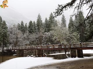 Un día en Yosemite
