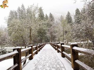 Un día en Yosemite