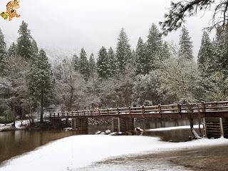 Un día en Yosemite