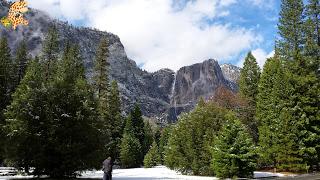Un día en Yosemite