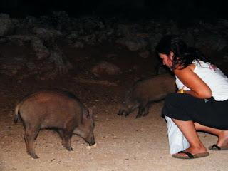Vacaciones en Familia : ¿ Utopía o Realidad?