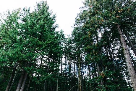 Bridge_Of_The_Gods-Oregon-Cascade_locks-Off_The_Shoulders_Top-Levis_Vintage-Lace_Up_Espadrilles-Outift-Collage_Vintage-18