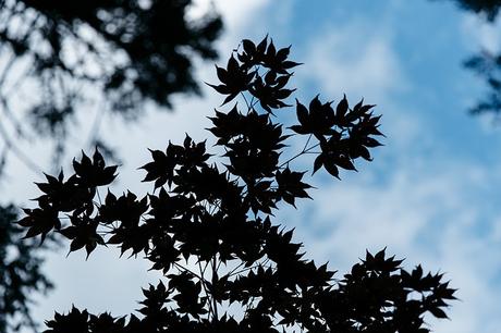 Bridge_Of_The_Gods-Oregon-Cascade_locks-Off_The_Shoulders_Top-Levis_Vintage-Lace_Up_Espadrilles-Outift-Collage_Vintage-63