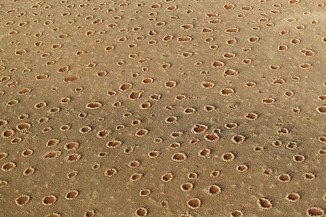 Misterio: Círculos de hadas