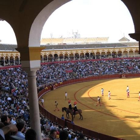La Plaza de Toros, mucho más que eso