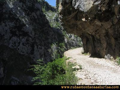 Ruta del Cares: Camino escavado en la roca