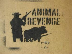 6a00d8341c76e453ef010534fbc0ba970b-800wi