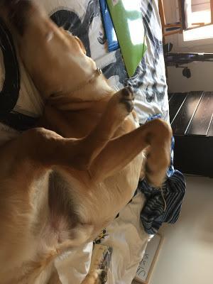 ¡He perdido un kilo! ¡He perdido un kilo!