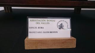 Los Suisekis y Bonsais de la exposicion (Sant Pere)