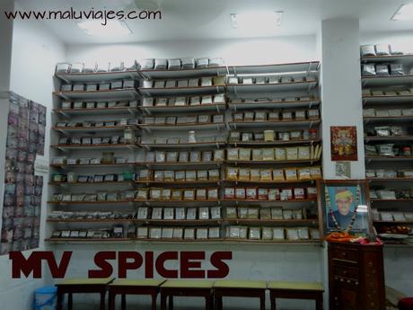 maluviajes-Mohan-Verhomal-Spices-jodhpur