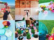 Instafinde boda Lleida