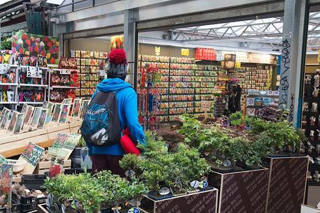 CRÓNICAS ORANJE: AMSTERDAM (II)