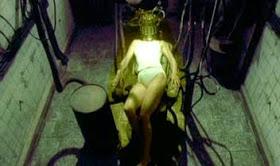 Reseña Destinada a sentir by Indigo Bloome