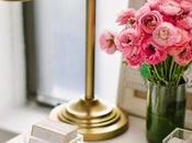 Cómo Ganarte Cariño Propia Casa