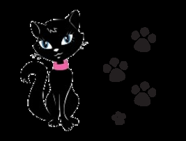 Persiguiendo un Corazón by Lauren Morán (Reseña)