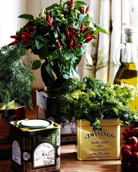 Reciclar latas de conserva, DIY.; Ideas para decorar cualquier rincón de nuestra casa. Reciclar latas de conserva, DIY.; Ideas para decorar cualquier rincón de nuestra casa.