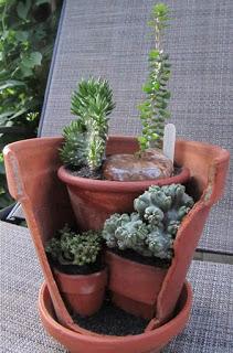 IDEAS CUCAS: NUEVO CONCEPTO DE MACETAS Y JARDIN