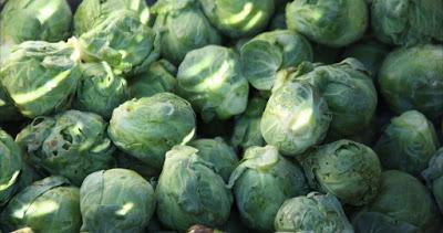 farmaceuticainmavinue