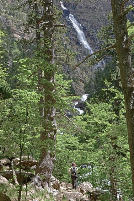 Clavijas de Cotatuero