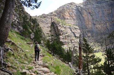 Clavijas de Cotatuero