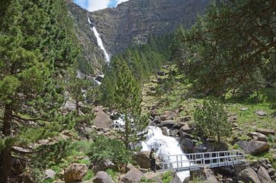 Clavijas de Cotatuero