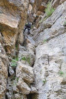 Clavijas de Cotatuero