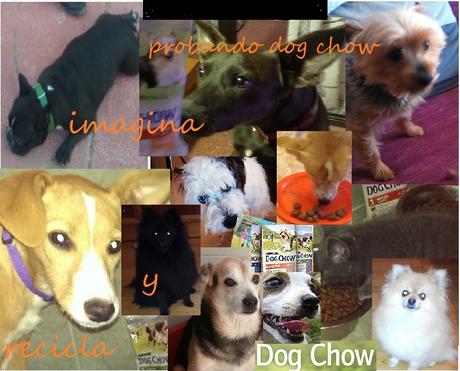 Probando dog chow adult
