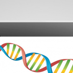 PregSense. Wearable para la monitorización continua durante el embarazo