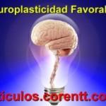 Cómo lograr la neuroplasticidad favorable