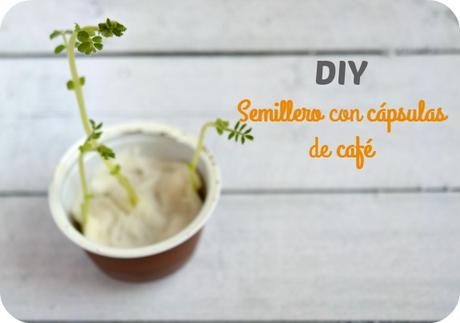 DIY: Semillero con capsulas de cafe