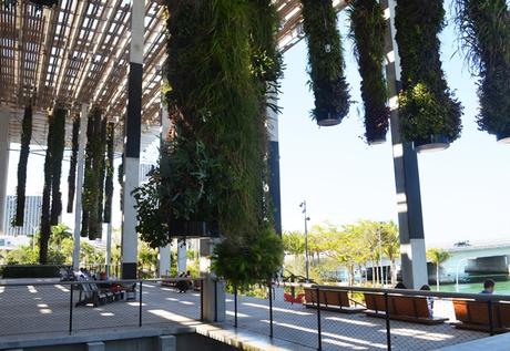 Más Miami: Verde tropical y el PAMM