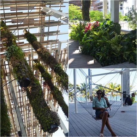 Más Miami: Verde tropical y el PAMM