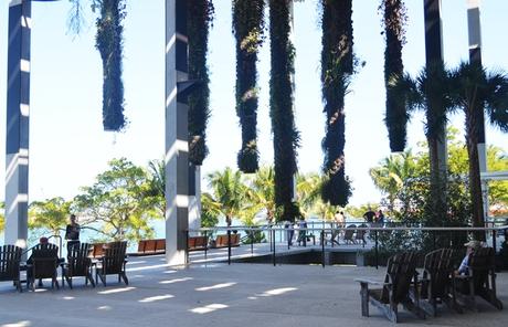 Más Miami: Verde tropical y el PAMM