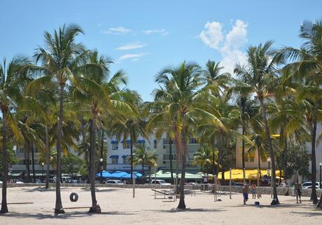 Más Miami: Verde tropical y el PAMM
