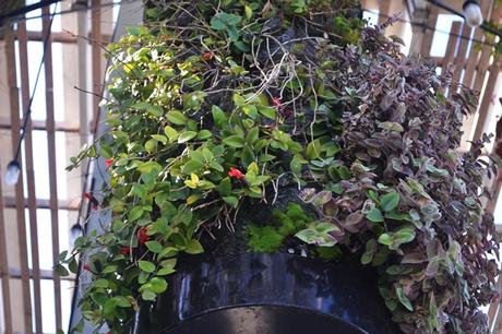 Más Miami: Verde tropical y el PAMM