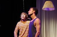 Luciérnagas de Carolina Román Luciérnagas de Carolina Román